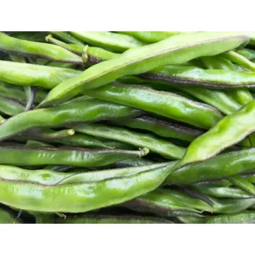 Flat Bean Sheem